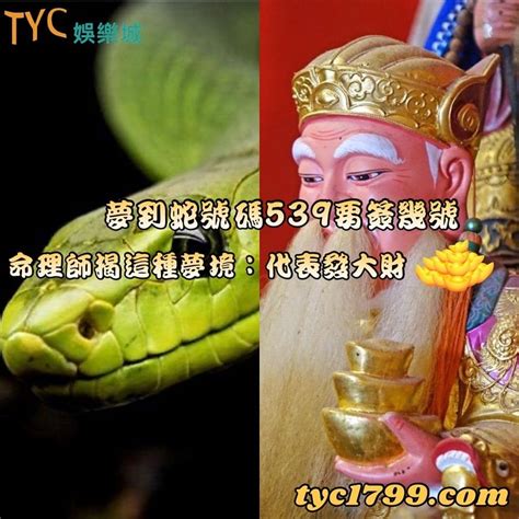 看到蛇徵兆|【看見蛇代表什麼】看見蛇代表什麼？民俗專家揭露傳統文化中的。